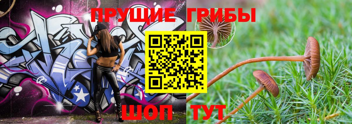Псилоцибиновые грибы прущие грибы  Псилоцибиновые грибы ЛСД  Вход с VPN  Губкин 